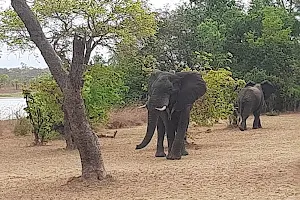 Kasungu National Park image