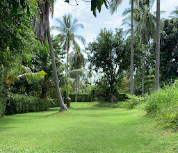 Samui Football Golf photo