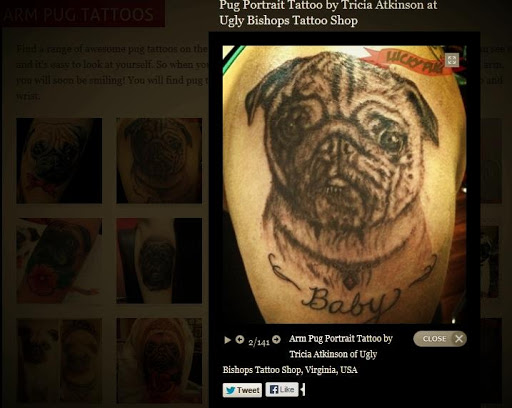 Explore succulent tattoo ideas, creative tattoo ideas in Fredericksburg, available at Figure 8 Ink Studios