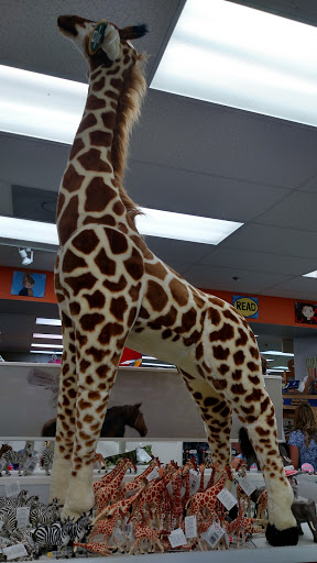 Book Store «Browseabout Books», reviews and photos, 133 Rehoboth Ave, Rehoboth Beach, DE 19971, USA