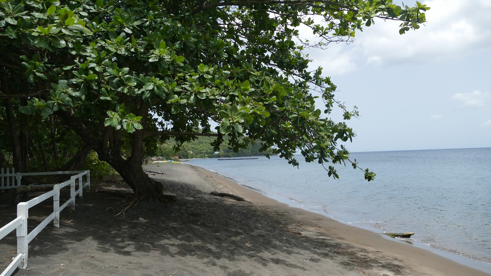 Foto de Coconut Beach com praia espaçosa