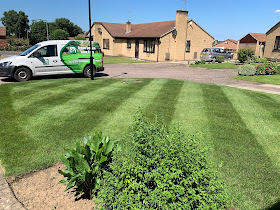 Green Square lawn care