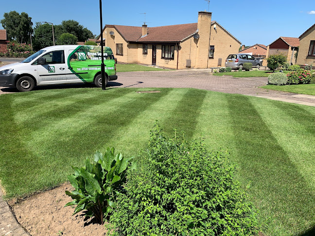 Green Square lawn care