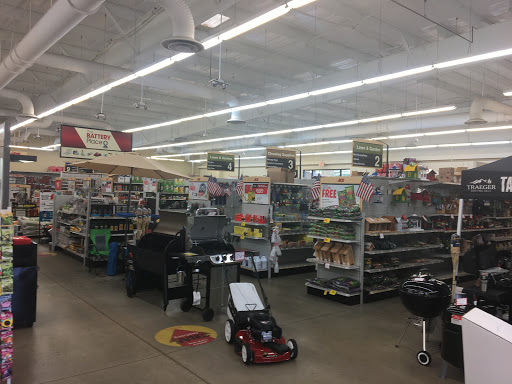Hardware Store «Askari Ace 1 LLC», reviews and photos, 3802 N Monroe St, Tallahassee, FL 32303, USA