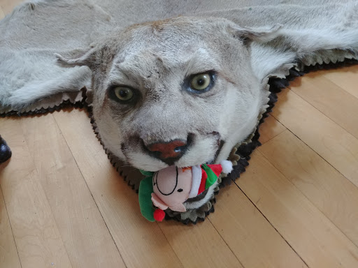 Museum «Petersen House Museum», reviews and photos, 1414 W Southern Ave, Tempe, AZ 85282, USA