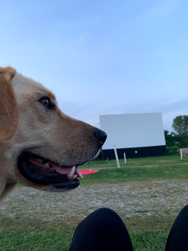 Drive-in Movie Theater «Warwick Drive-In Theatre», reviews and photos, 5 Warwick Turnpike, Warwick, NY 10990, USA