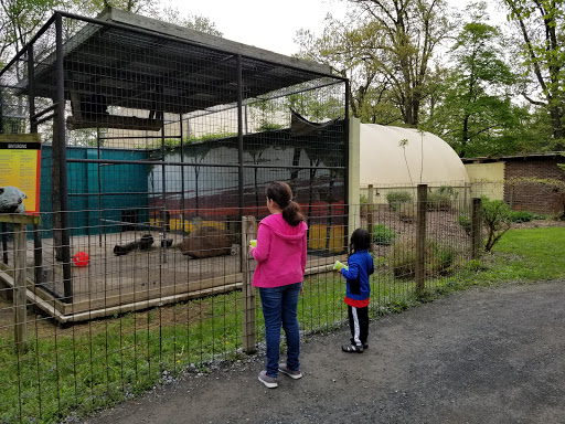Zoo «Catoctin Wildlife Preserve and Zoo», reviews and photos, 13019 Catoctin Furnace Rd, Thurmont, MD 21788, USA