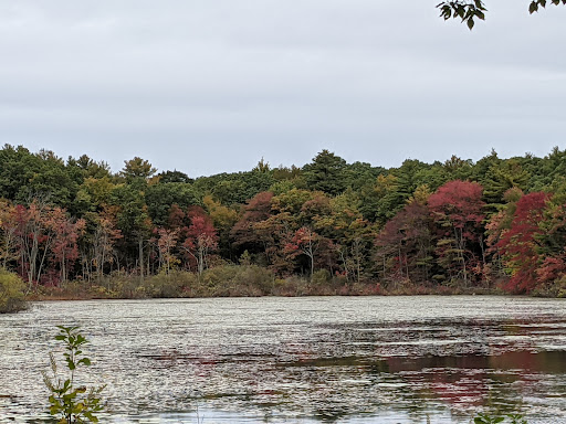 Museum «Fuller Craft Museum», reviews and photos, 455 Oak St, Brockton, MA 02301, USA