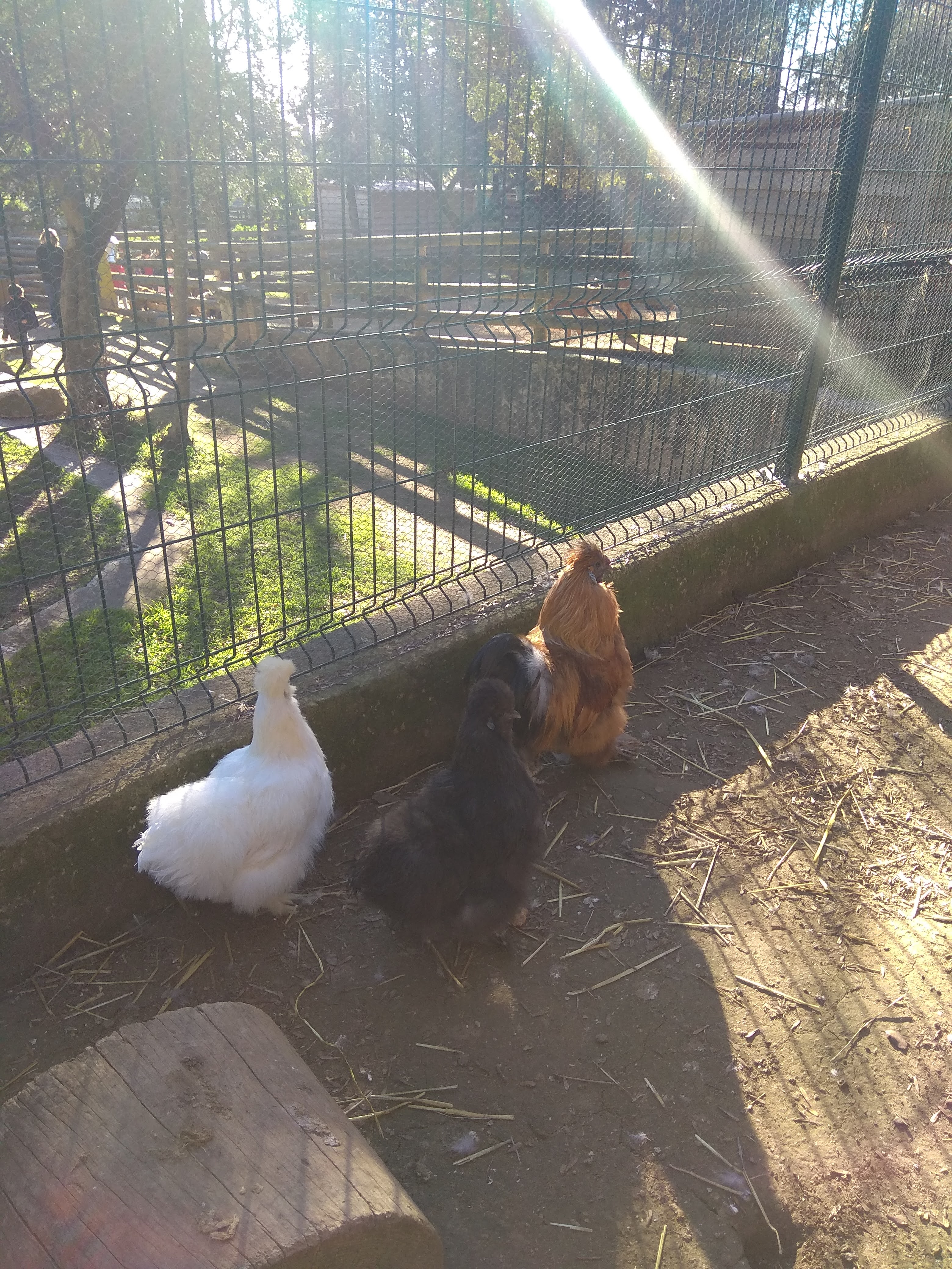 Photo n° 2 de l'avis de Alice.e fait le 03/02/2019 à 07:59
