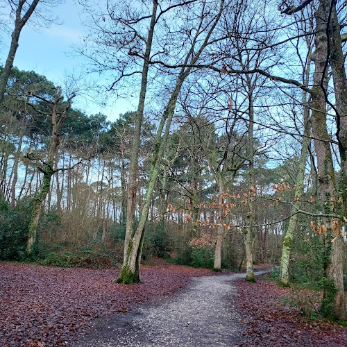 Forêt de MERIGNAC - Parcours Sportif à Mérignac