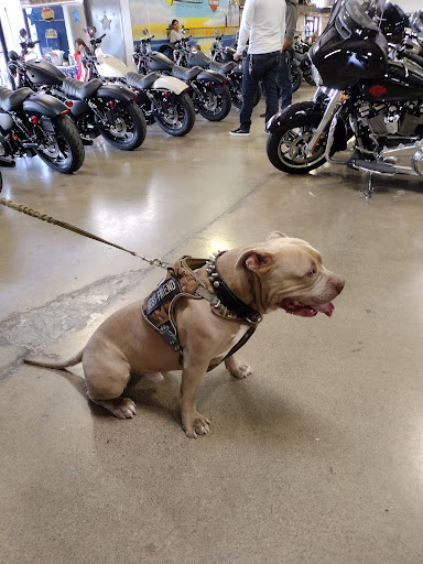 Harley-Davidson Dealer «Huntington Beach Harley-Davidson», reviews and photos, 15080 Goldenwest Cir, Westminster, CA 92683, USA