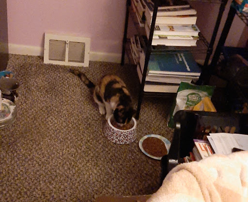 Pet Supply Store «Pet Supplies Plus», reviews and photos, 5229 Library Rd, Bethel Park, PA 15102, USA