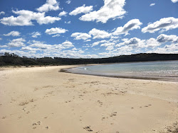 Photo de Potato Point Beach situé dans une zone naturelle