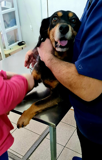 Veterinaría Mascotas Talcahuano