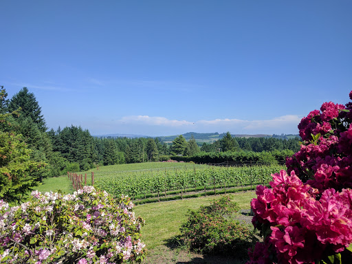 Vineyard «A Blooming Hill Vineyard», reviews and photos, 5195 SW Hergert Rd, Cornelius, OR 97113, USA