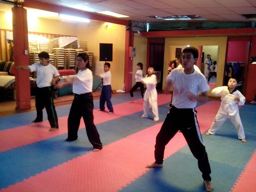 Karate classes Arequipa