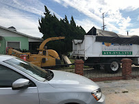 Tony Gomez Tree Service - Photo 6 - Car repair in El Cajon, CA, San Diego