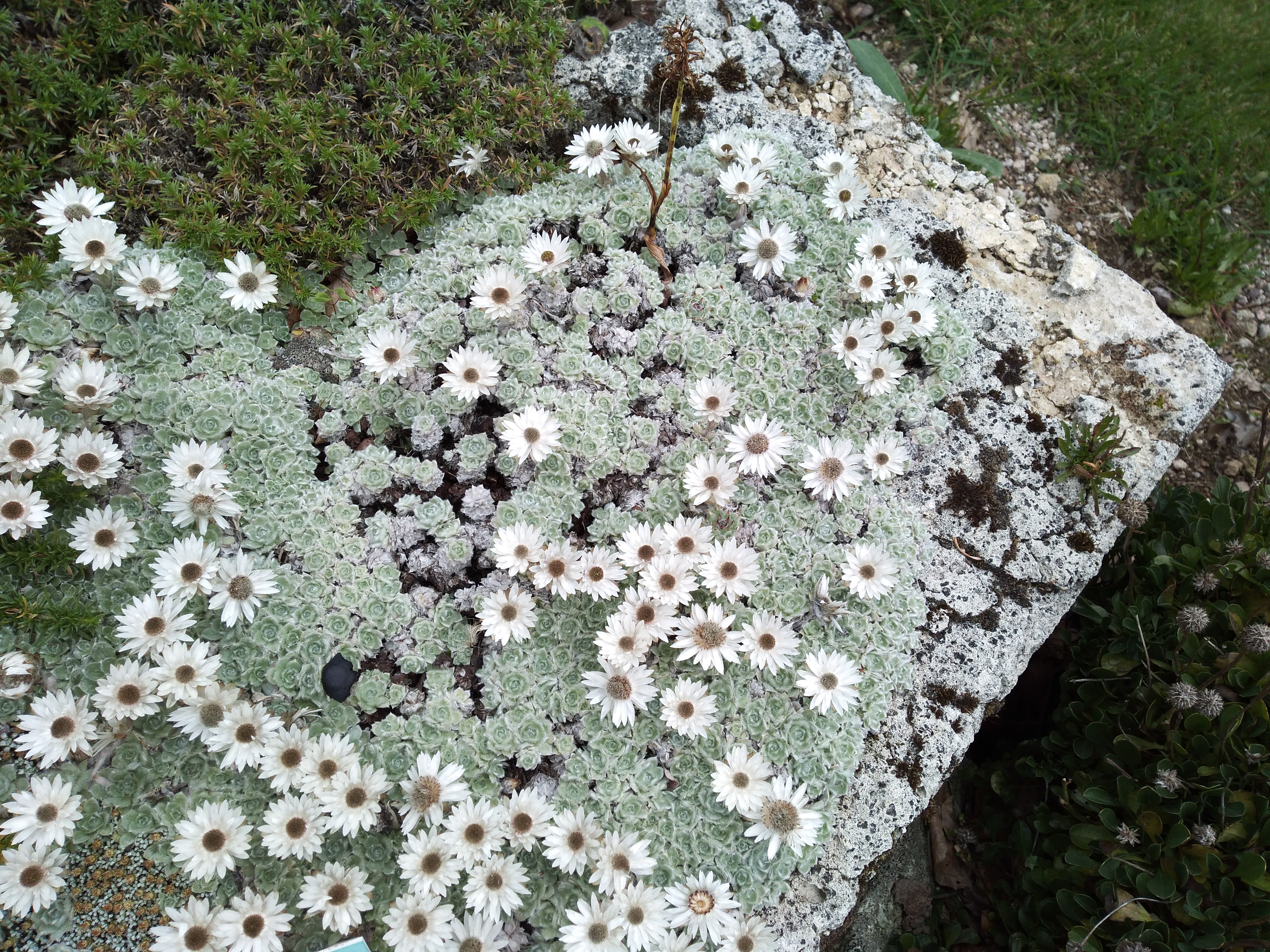 Photo n° 1 de l'avis de valérie.a fait le 05/09/2019 à 22:25