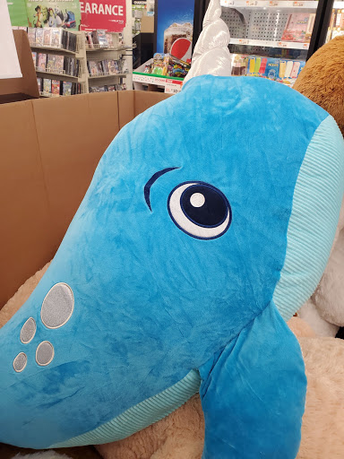 Discount Store «Big Lots», reviews and photos, 59 New State Hwy #2, Raynham, MA 02767, USA