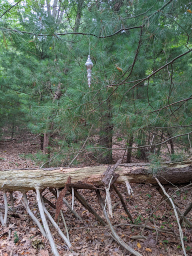 Park «West Hills County Park», reviews and photos, Sweet Hollow Rd, Melville, NY 11747, USA