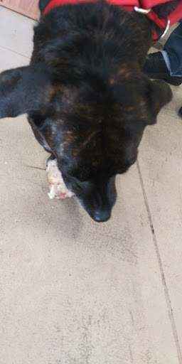 Pet Supply Store «Pet Pantry & Dog Wash», reviews and photos, 5148 Academy Blvd N, Colorado Springs, CO 80918, USA