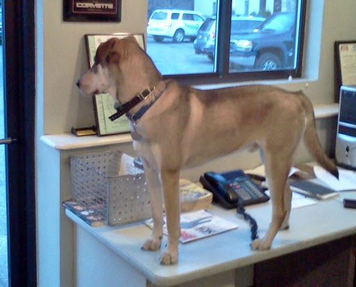 254 Park Ave, Worcester, MA 01609, USA