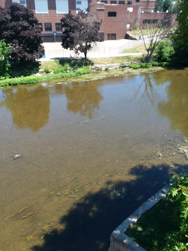 Museum «Curwood Castle Museum», reviews and photos, 224 Curwood Castle Dr, Owosso, MI 48867, USA