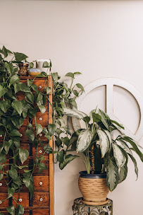 Lokahi Acupuncture - Photo 6 - Car repair in San Jose, CA, San Jose