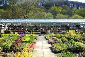 Newbank Garden Centre - Halifax Store image