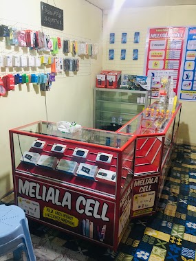 Meliala Cell