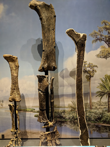 Science Museum «Museum of the Rockies», reviews and photos, 600 W Kagy Blvd, Bozeman, MT 59717, USA