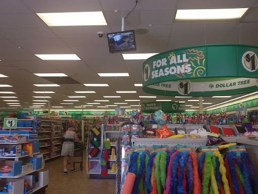 Dollar Store «Dollar Tree», reviews and photos, 9055 Biscayne Blvd, Miami Shores, FL 33138, USA
