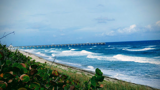 Park «Juno Dunes Natural Area», reviews and photos, 14501 US-1, Juno Beach, FL 33408, USA