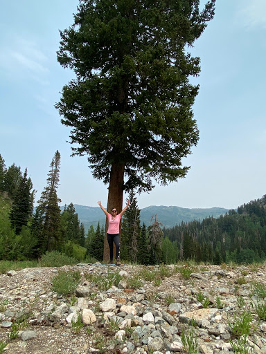 Resort «Solitude Mountain Resort», reviews and photos, 12000 Big Cottonwood Canyon Rd, Solitude, UT 84121, USA