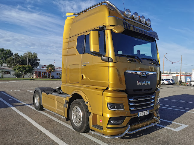 Opinii despre BFT Transports în Gerland - Societé de transport