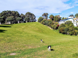 Cog Park Dog Exercise Area