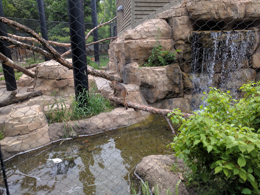 Zoo «Cosley Zoo», reviews and photos, 1356 N Gary Ave, Wheaton, IL 60187, USA