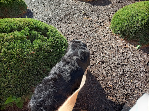 Pet Supply Store «Pet Supplies Plus», reviews and photos, 1676 E Summit St, Crown Point, IN 46307, USA