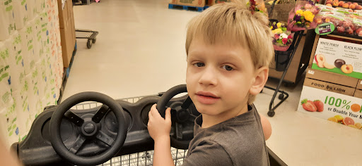 Grocery Store «Food Lion», reviews and photos, 73 Asheville Rd, Sylva, NC 28779, USA