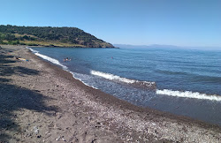 Foto di Lagadas beach e il suo bellissimo paesaggio