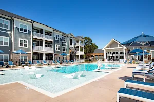 Waterleaf at Neely Ferry Apartments image