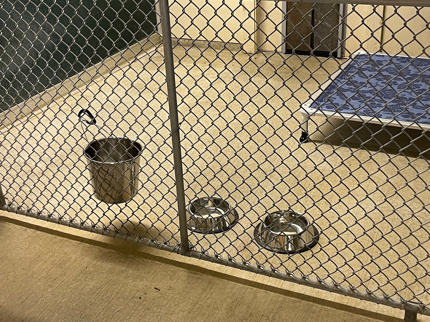 The Kennels at Choco Ranch