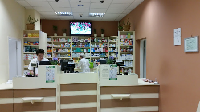 Értékelések erről a helyről: Primula Patika, Pécs - Gyógyszertár