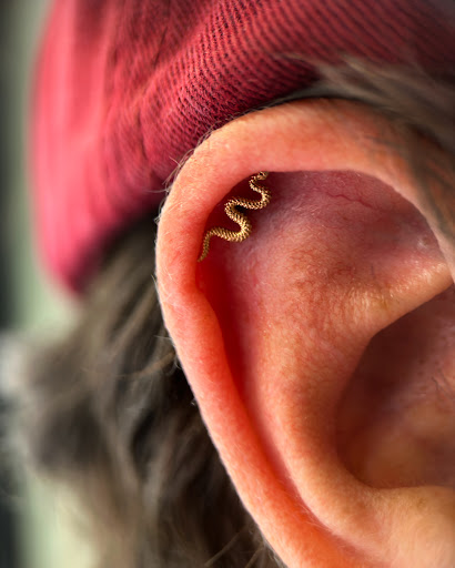 Find tattoo tree ideas for your next unique tattoo in Las Vegas at Club Tattoo The Venetian Grand Canal Shoppes