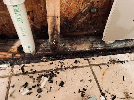 Carpet Cleaning Service «Harris Services», reviews and photos, 5123 S Production Dr C, Bloomington, IN 47403, USA