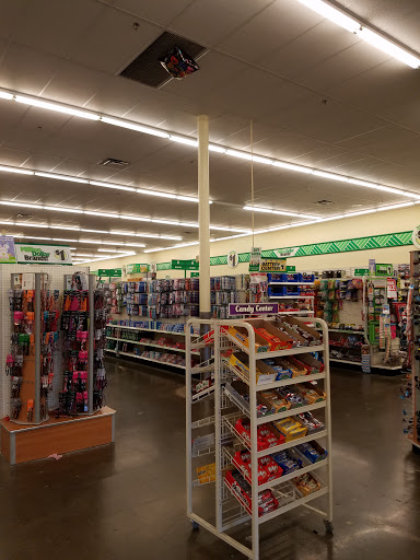 Dollar Store «Dollar Tree», reviews and photos, 2325 S Stemmons Fwy #501, Lewisville, TX 75067, USA