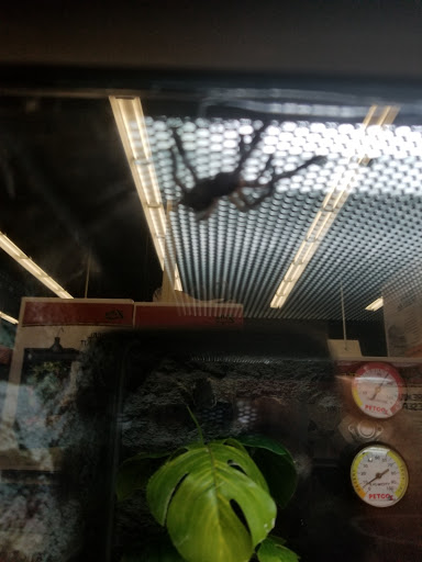 Pet Supply Store «Petco Animal Supplies», reviews and photos, 1680 Campbell Ln, Bowling Green, KY 42104, USA