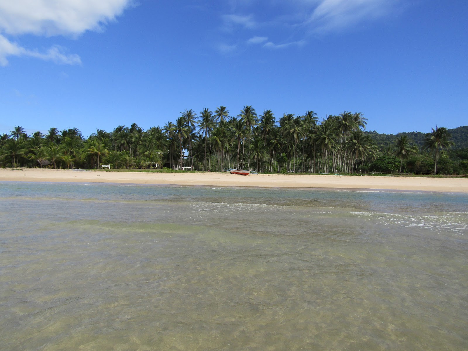 Foto von Verde Safari Beach wilde gegend