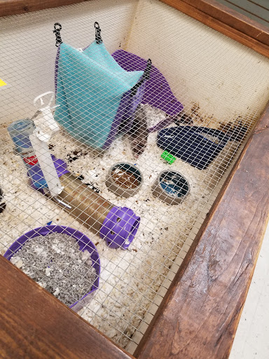 Pet Store «Pet World Warehouse Outlet», reviews and photos, 2148 W Beltline Hwy, Madison, WI 53713, USA