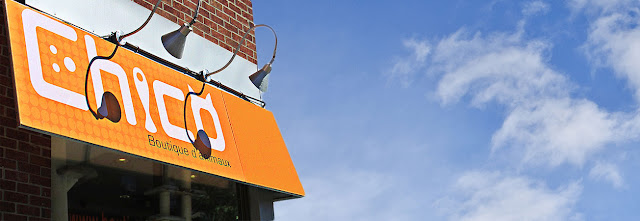 Chico - Boutique d'animaux | St-Eustache